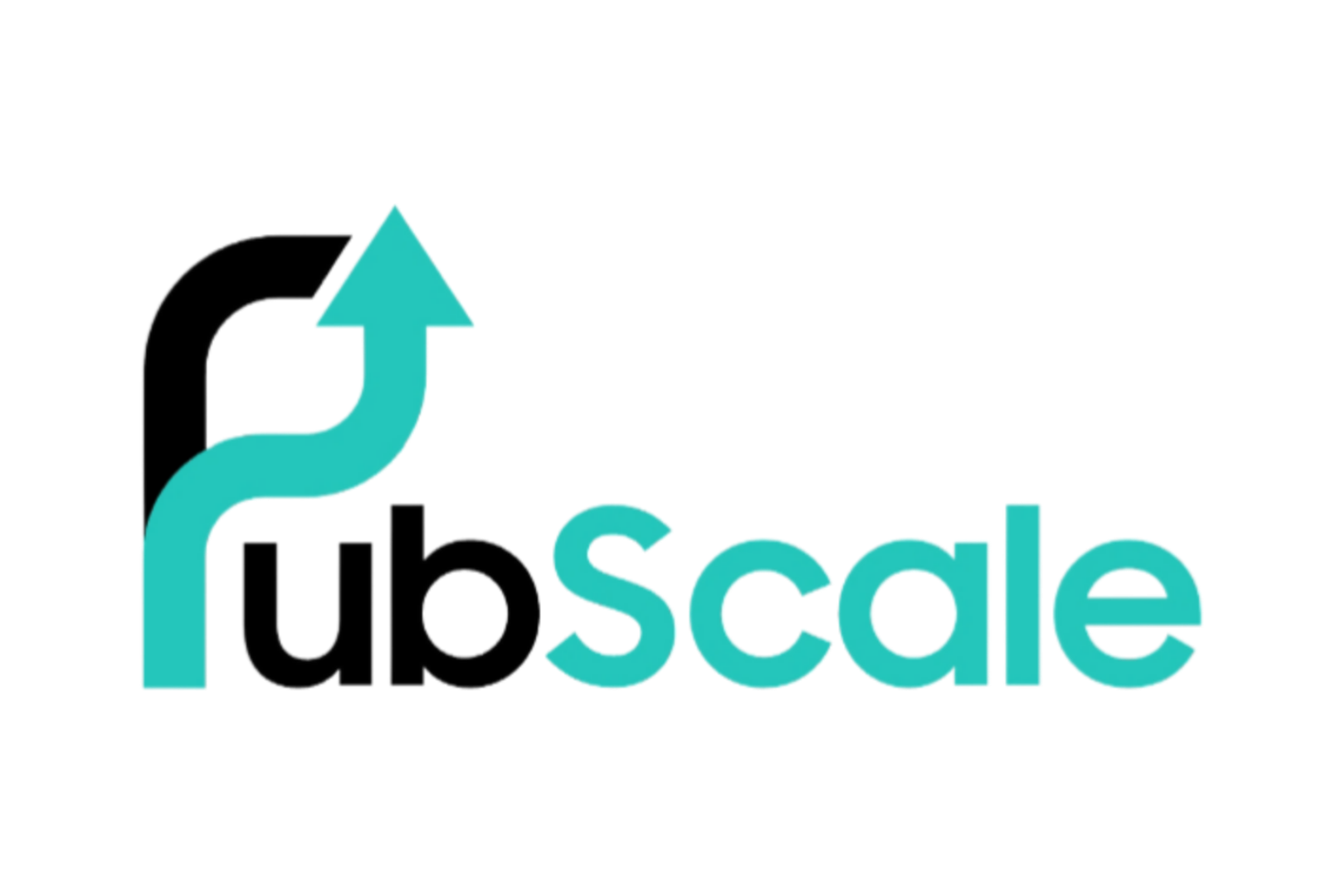 Partner Logo 2